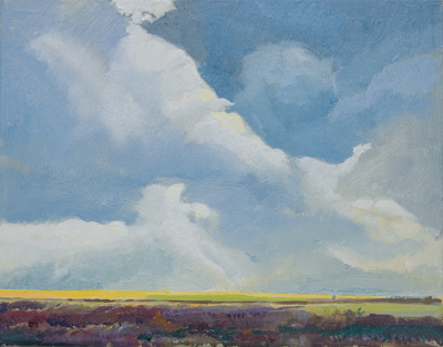 Chris Stoffel Overvoorde painting, Saw Grass in Distance, for sale from Eyekons Gallery